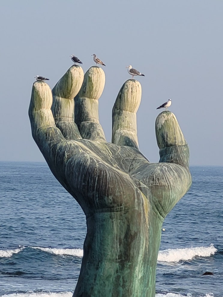 포항 호미곶 해맞이광장, 구룡포 일본인가옥거리 사진