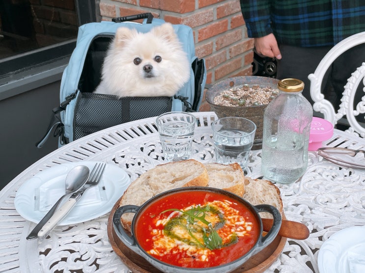  강원도 동해 브런치 맛집, 농부네빵 유기농식탁(+애견동반)