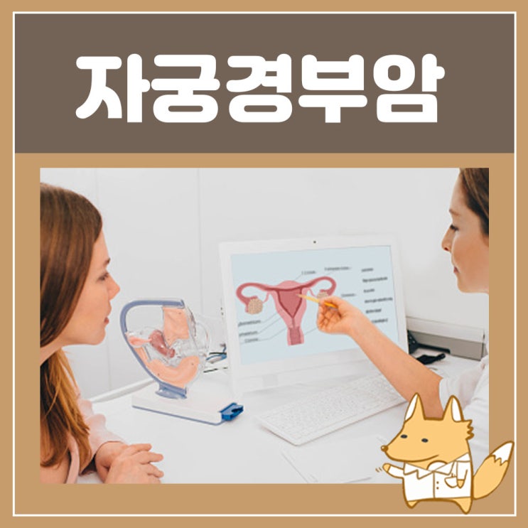  자궁경부암 검사 무료 예방접종 백신 주사 : 자궁경부암 예방접종 남자