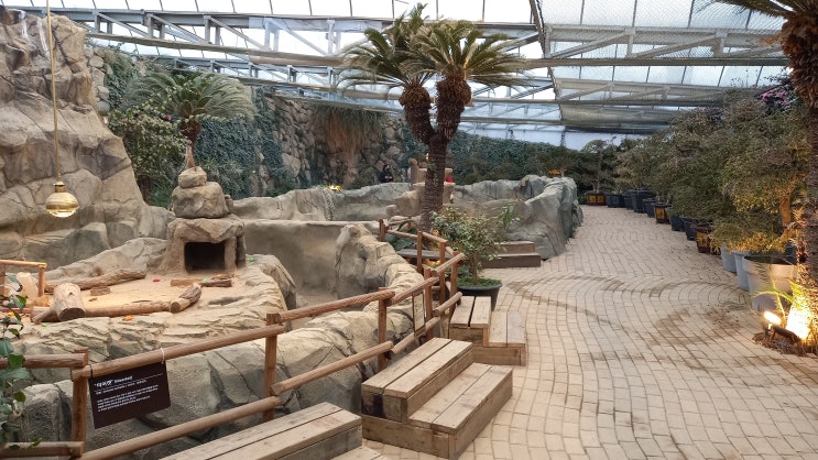 가창 네이처파크 확 바뀐 후 다녀온 후기