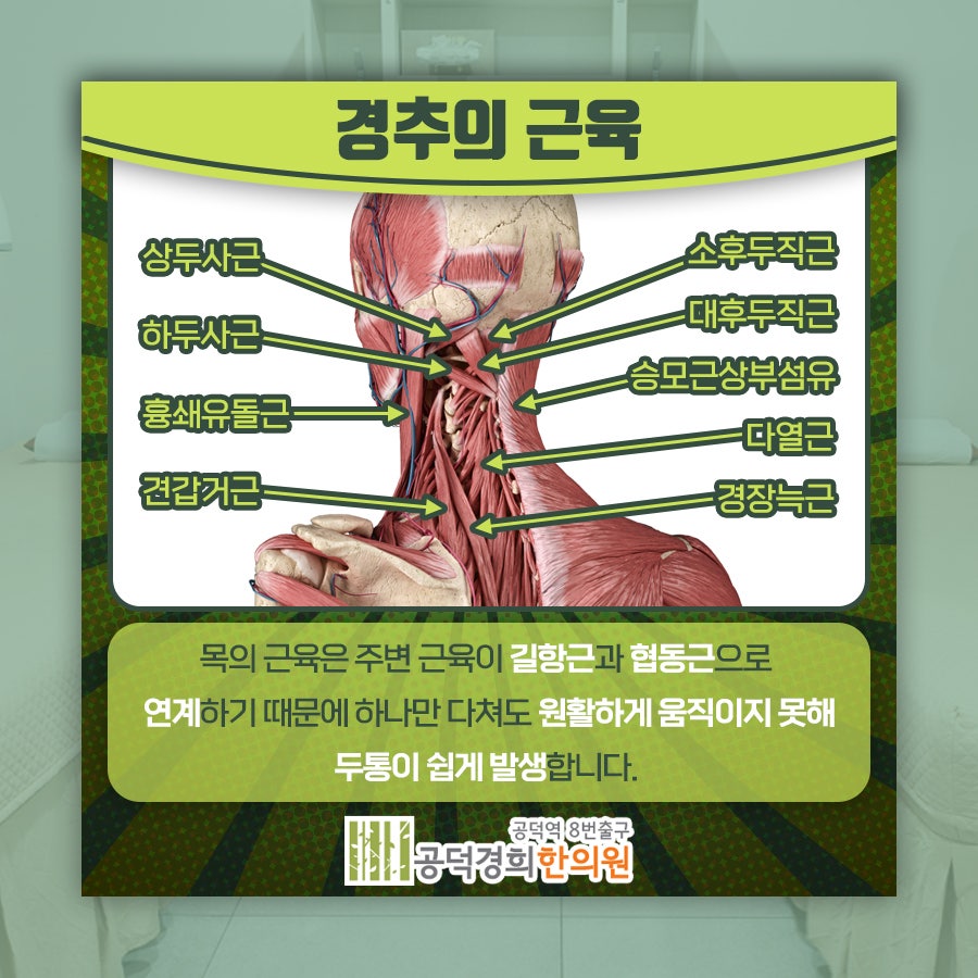 뒷골 사진 2