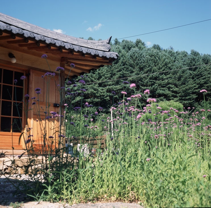  31. 참 쉽게 잊고 산다