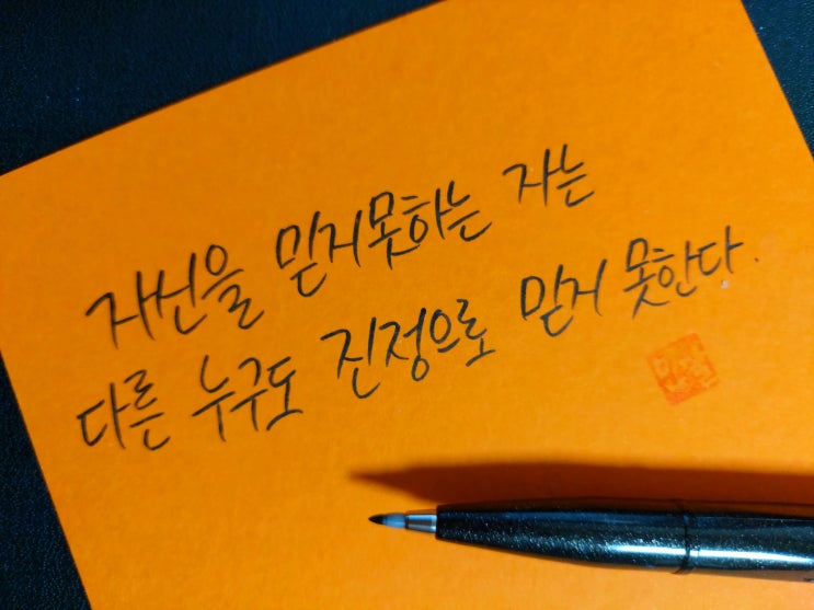  [1일 1캘리그라피] 장 레츠 명언 1