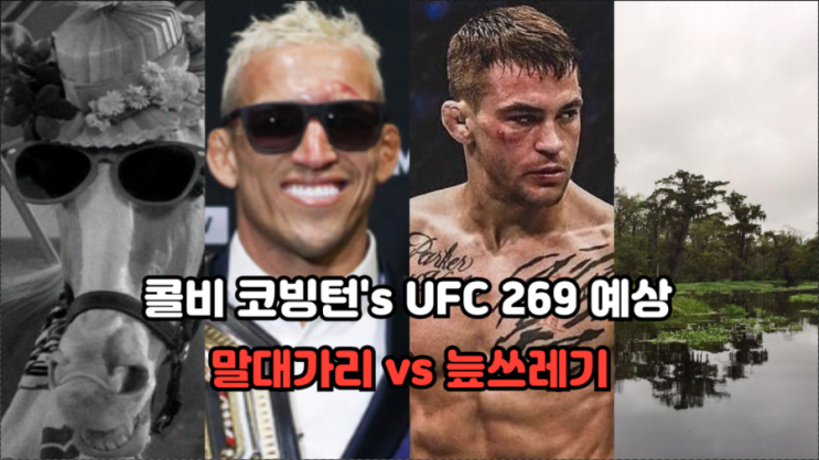 콜비 코빙턴의 포이리에 vs 올리베이라 예상/메인 이벤터 출사표 등 MMA 뉴스 콜비 코빙턴의 포이리에 vs 올리베이라 예상/메인 이벤터 출사표 등 MMA 뉴스