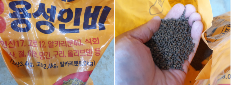  구용성 인산(枸溶性燐酸, citrate-soluble phosphate)