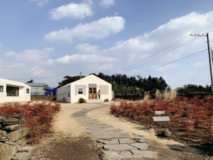  내 돈 내산) 제주 서귀포 성산 근처 갈만한 맛있는 에그타르트 디저트 카페--아줄레주
