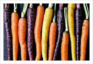 당근 채소 과일 색깔 카로틴 귤 오렌지 복숭아 호박 암 환자 식이요법