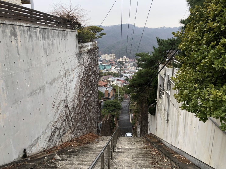  서울둘레길 8코스(평창동마을길 명상길 솔샘길 흰구름길)