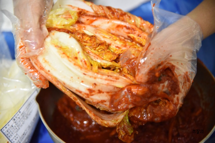  바로담은김치 김치밀키트 김장김치만들기