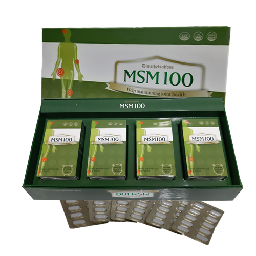 관절건강, [아리바이오] MSM100(엠에스엠100) 500mg x 240T, 브랜드타워 회원을 위한 기획상품