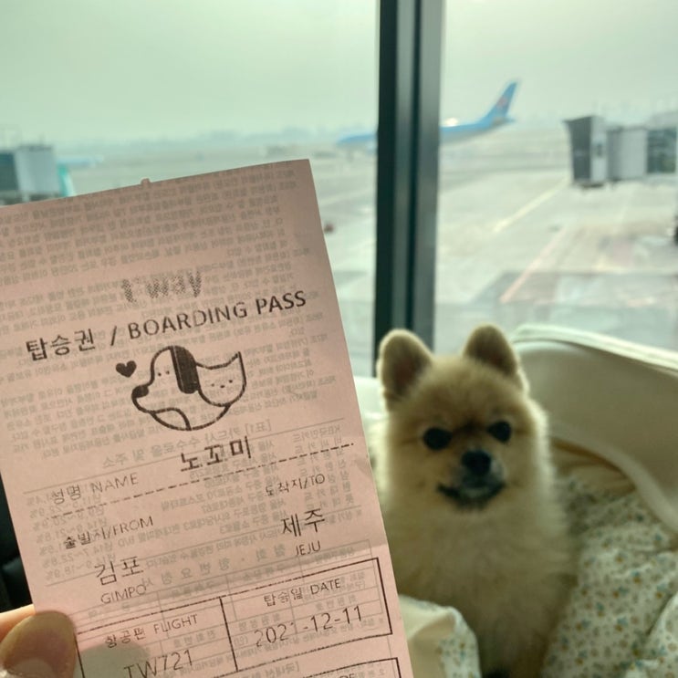  어느새 다가온 12월... 그냥 대학생1의.. 일상일기..