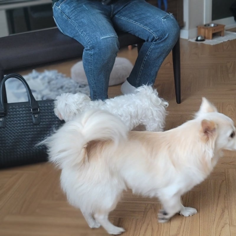 사진 5