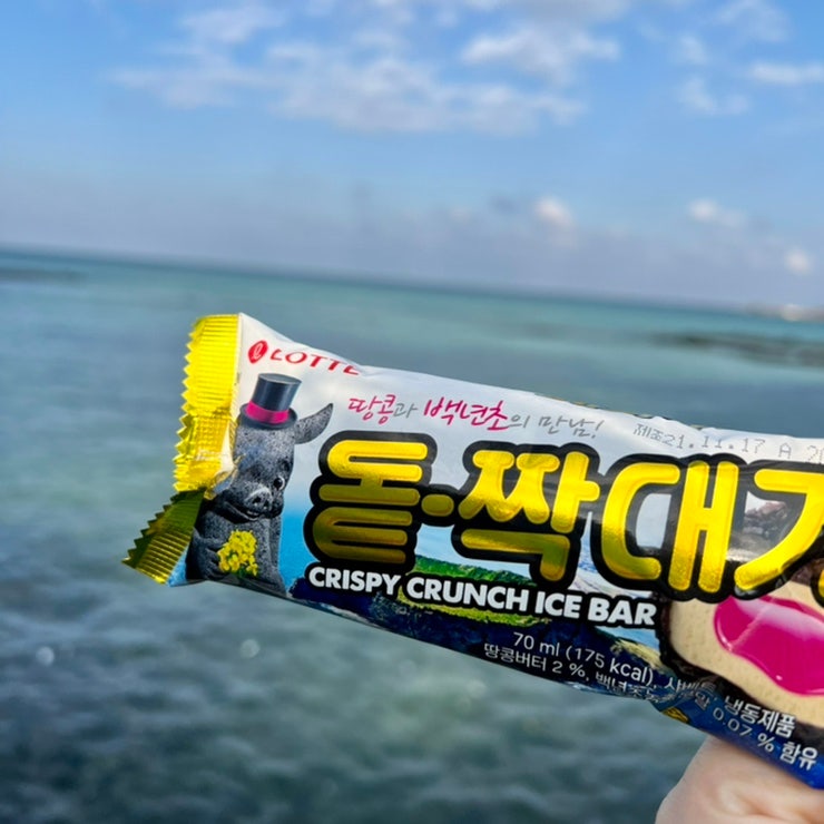  제주도에서만 먹을 수 있는 돼지바, <돝짝대기> 맛 후기 :: 제주 동쪽 세화 파는곳