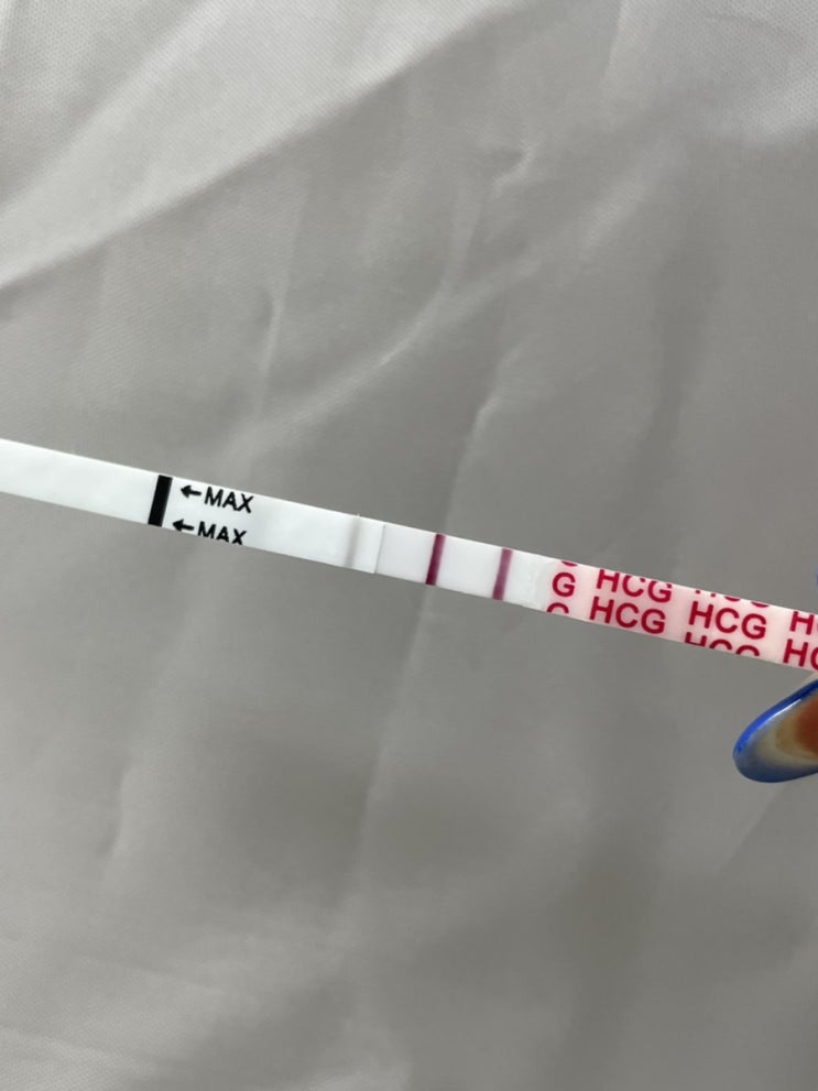 시험관성공:: 가족과 제주도여행 /  임테기 결과선보다 더 진해지다