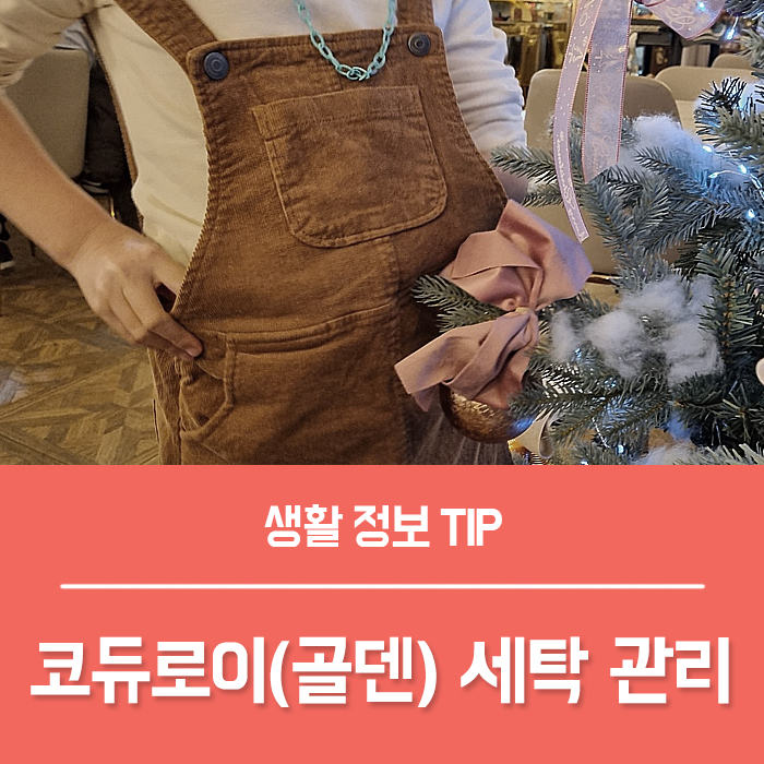  골덴 코듀로이 세탁 관리법 어렵지 않아요
