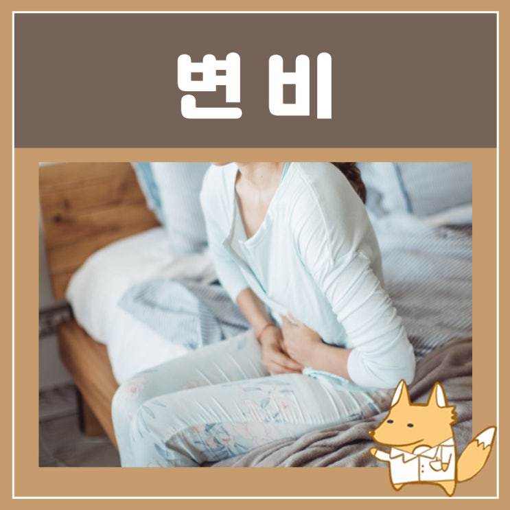  마그밀(마그밀정) : 변비약 효과 추천, 변비 원인 증상, 변비 직빵