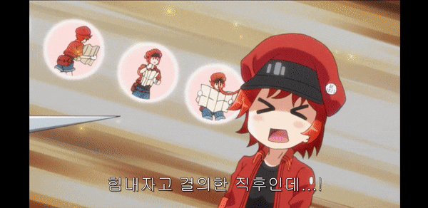  일하는 세포 1기 8화 후기 혈액순환