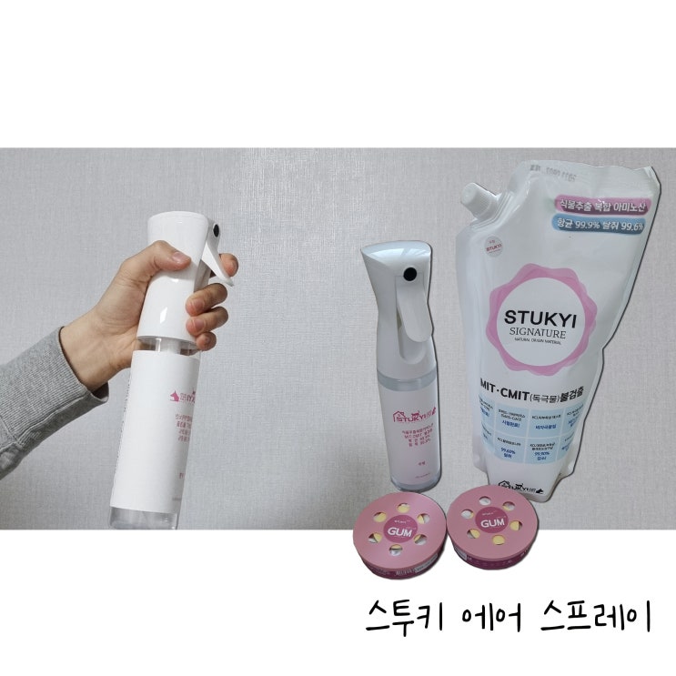  스투키 에어 스프레이와 검으로 집 안 페인트 냄새 없애기