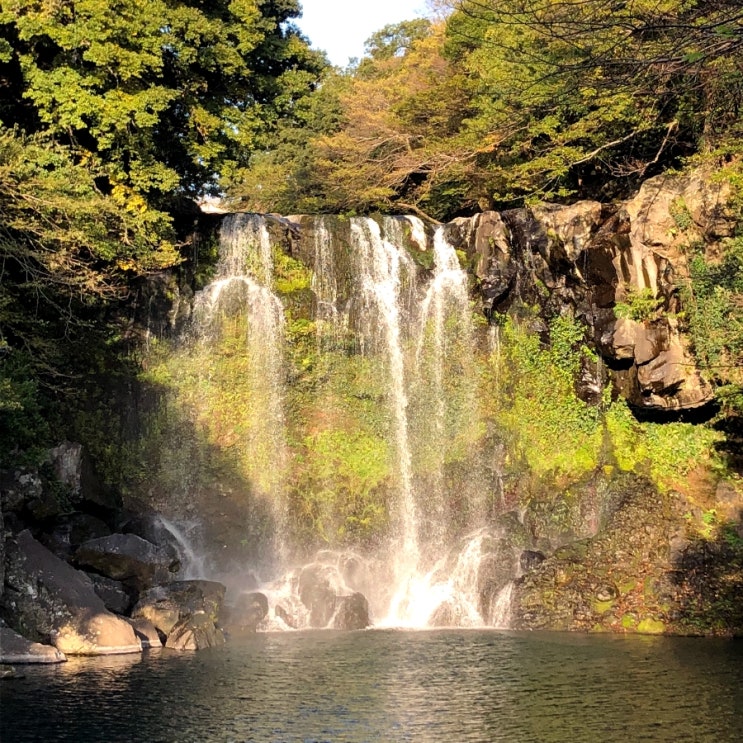 제주도여행 천제연폭포vs천지연폭포