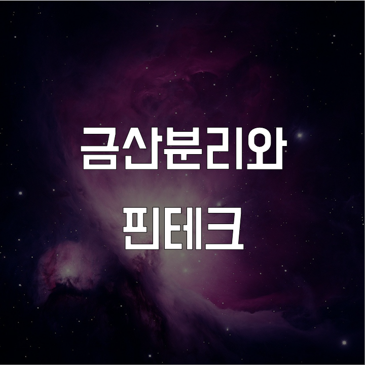  금산분리와 핀테크 l 금융 논술 연습