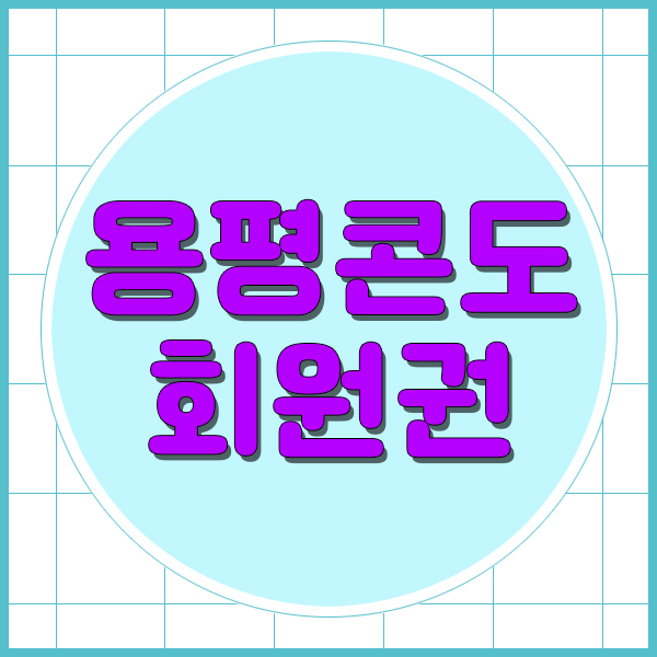  용평리조트 용평콘도회원권17평을 지정객실로 머물수있어요.