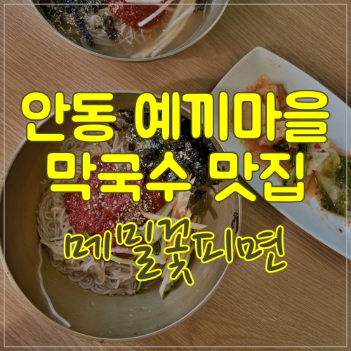  막국수와 육전 맛집으로 유명한 안동 메밀꽃피면