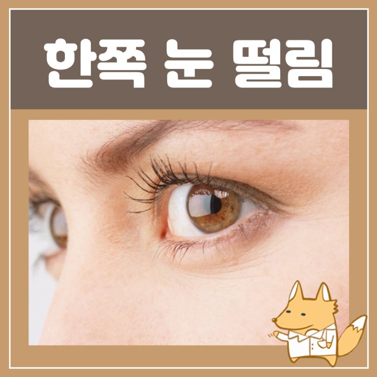 왼쪽 오른쪽 한쪽 눈 떨림 원인, 눈밑떨림 : L테아닌 마그네슘 영양제 추천 드림에이티