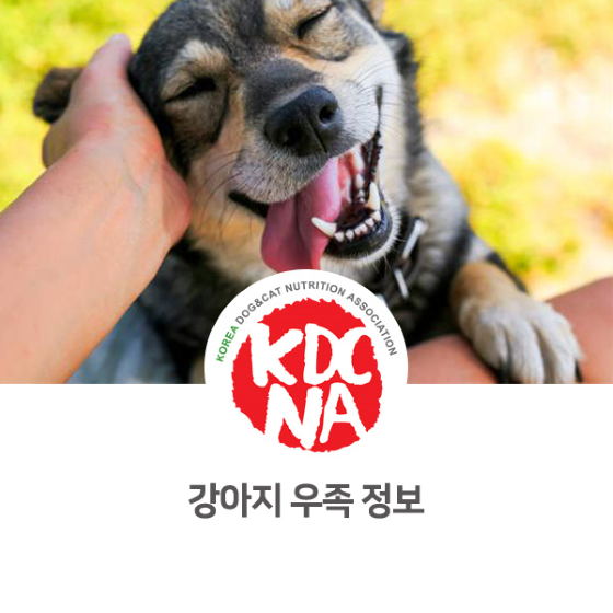 [한국반려동물영양협회/성다훈펫영양사/펫푸드자격증/강아지화식/강아지자연식/펫베이커리/제주/전주/서산/청주/충주]_929