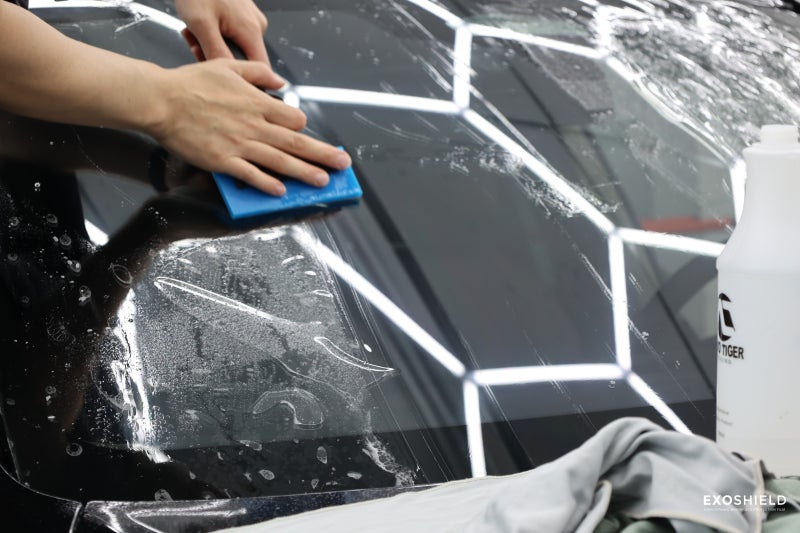 과천 추사로 / PPF / BMW / X7