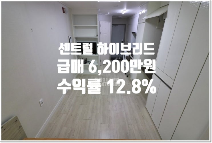  대전 둔산동 시청역 도보 2분 센트럴 하이브리드 급매 정보!