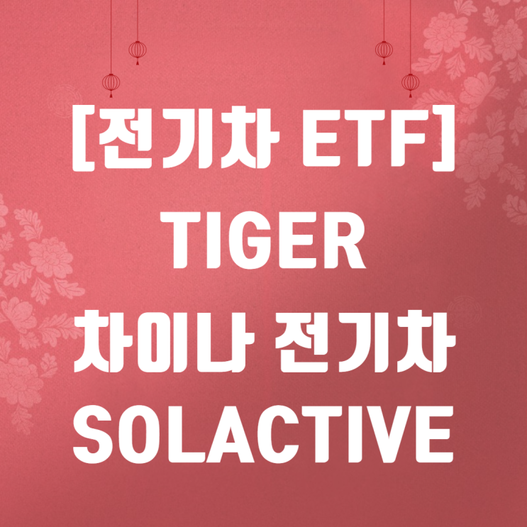  TIGER 차이나 전기차 SOLACTIVE