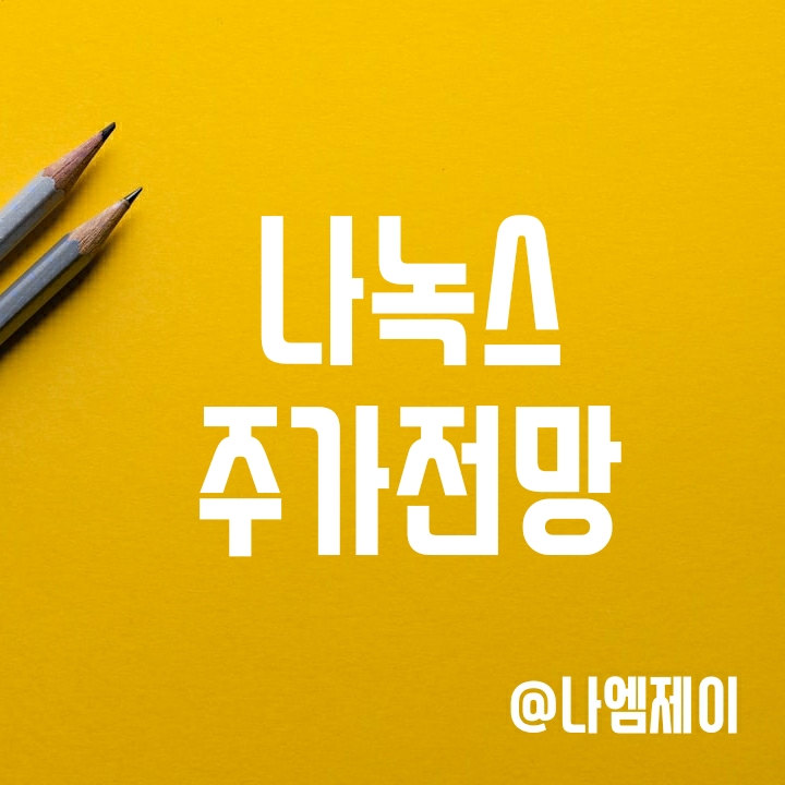 나녹스(NNOX) 주가 반등은 FDA 승인 이후에나..? 나녹스(NNOX) 주가 반등은 FDA 승인 이후에나..?