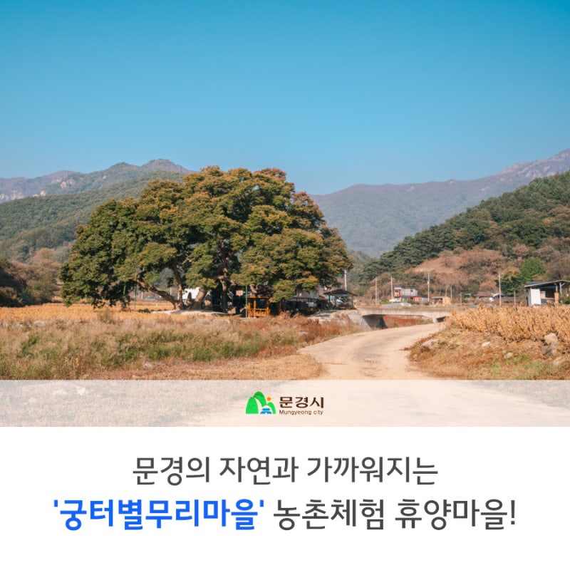 사진 4