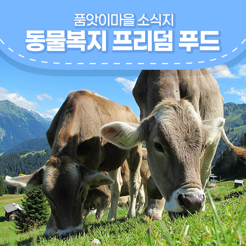  동물복지 프리덤푸드 안전한 먹거리 왜 중요할까?