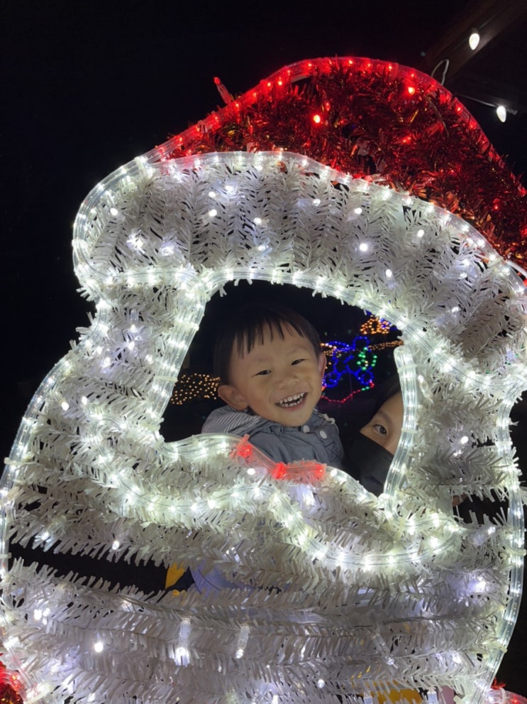  774일째:몽고메리 동물원 라이트 페스티벌