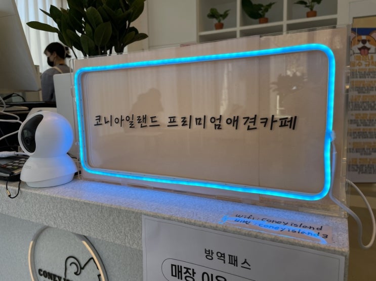  2021.12.13.Mon. 애견 운동장이 있는 남양주 초대형 애견카페 <코니 아일랜드 애견카페>