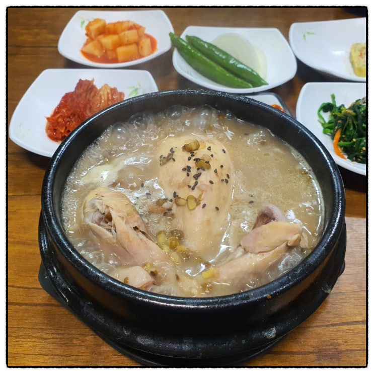  이맛이 찐이야! 제주 연동맛집 여기는 정한토속삼계탕원조설렁탕