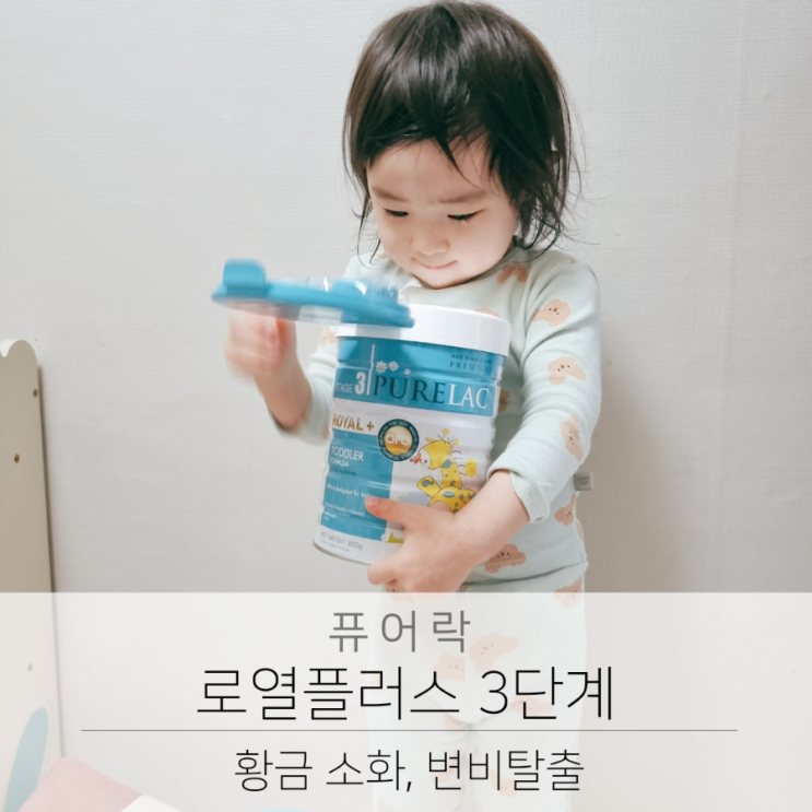  살찌는분유 퓨어락 로열플러스 3단계로 아기 변비  탈출! (퓨어수)