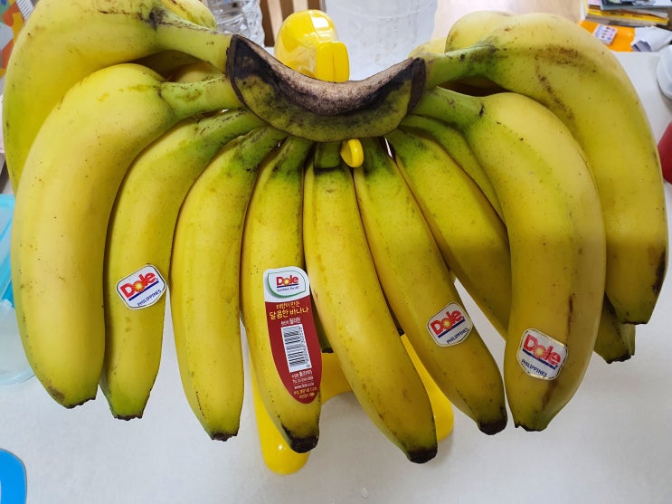 바나나껍질 분리수거 및 바나나의 효능 그리고 보관방법