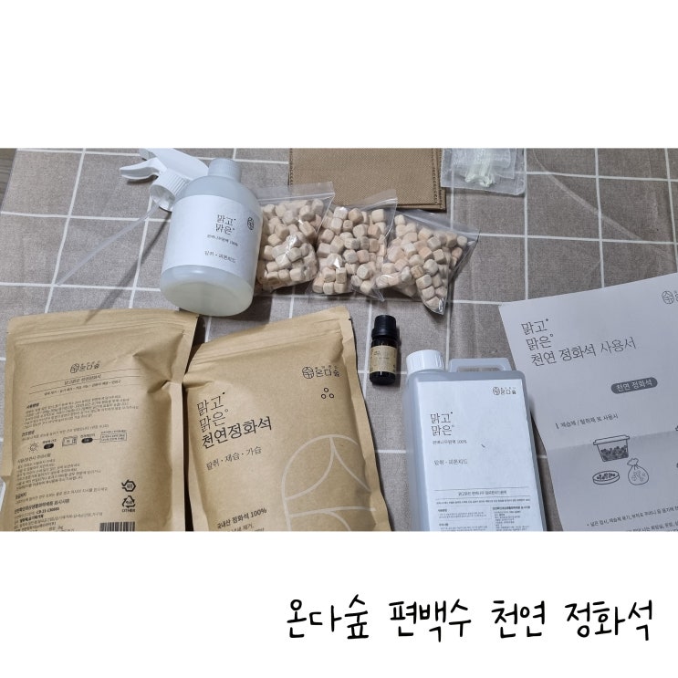  온다숲 새집증후군 베이크아웃 패키지 피톤치드로 페인트냄새 없애기
