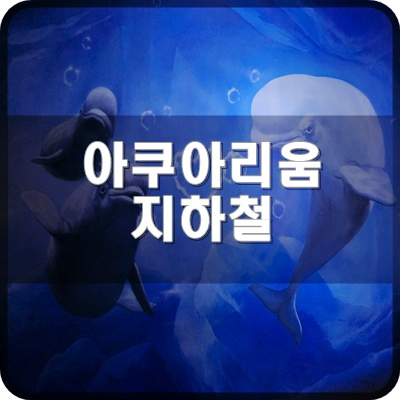  3. 롯데월드 아쿠아리움 2호선 잠실역에서 롯데월드몰 지하1층으로 도보이동해요.