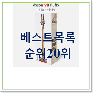  너무 사고싶은 다이슨청소기 상품 써보세요.