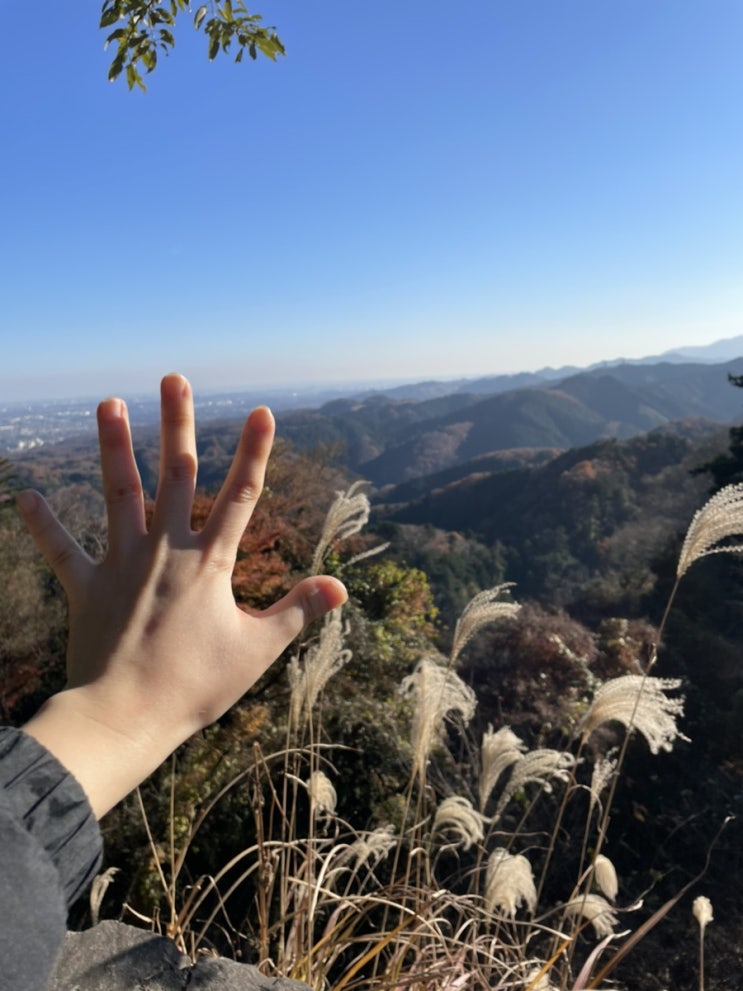  타카오산 두번째 등산