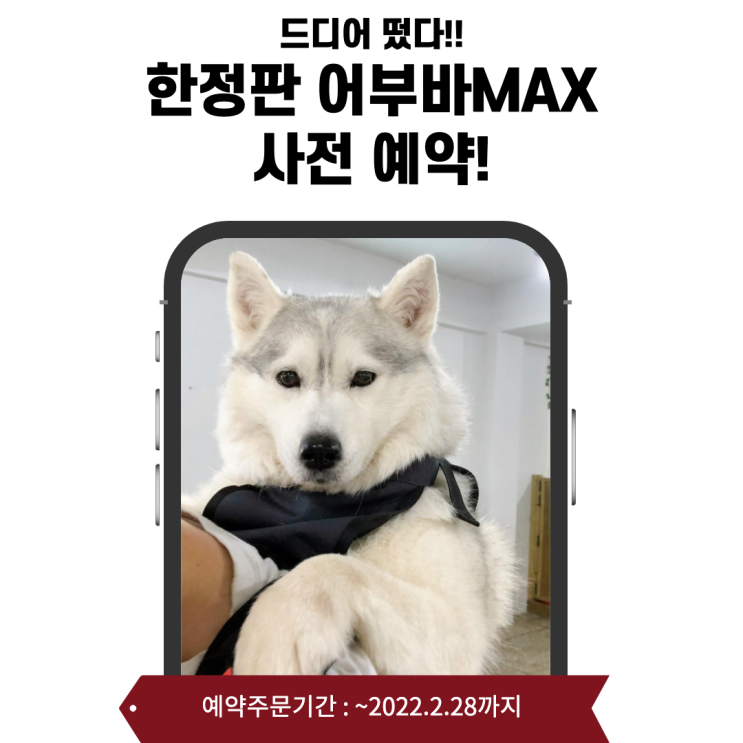  애견 혼자두기 보단 함께!대형견 전용 어부바 맥스 가방 사전 예약 시작했어요!