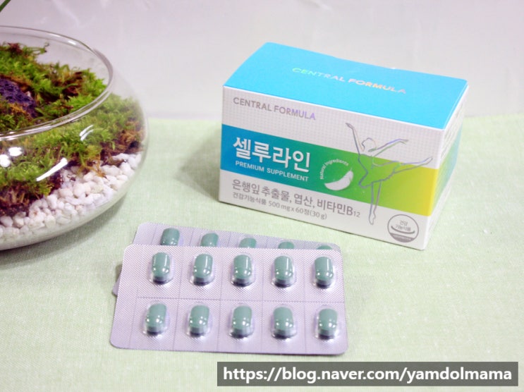  차유람의 혈액순환영양제 셀루라인으로 다리가 저려요 증상 개선