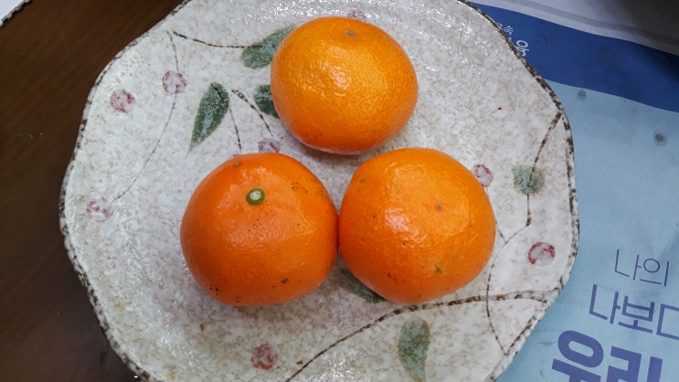 아침 식사 돼지고기볶음 아침 식사 돼지고기볶음