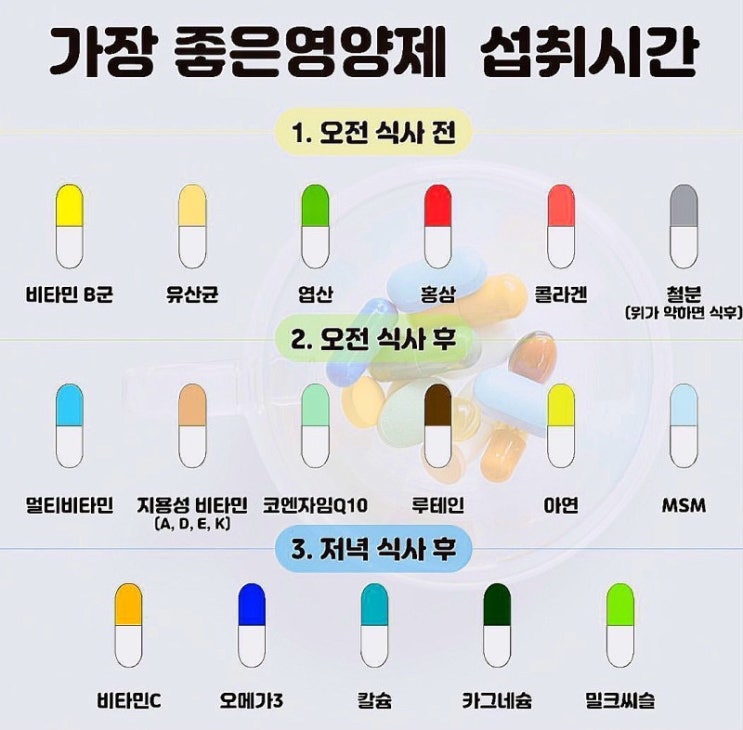  일상3 : 영양제 (Supplement)