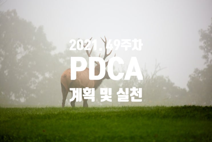  2021년 계획과 실천 49주차 점검 [인생이라는 게임을 즐기자]