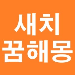 새치꿈 해몽 새치나는꿈 새치뽑는꿈 새치 염색하는 꿈