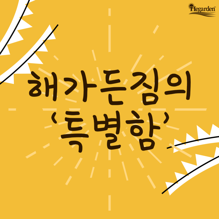  해가든짐의 특별함!
